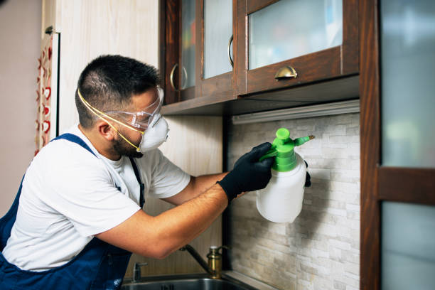 Best Flea Control Services  in Vinings, GA