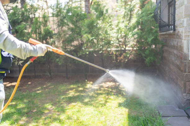 Best Termite Control Services  in Vinings, GA