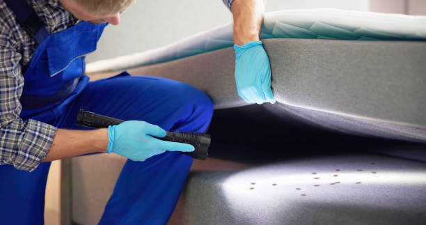 Best Affordable Pest Control Services  in Vinings, GA