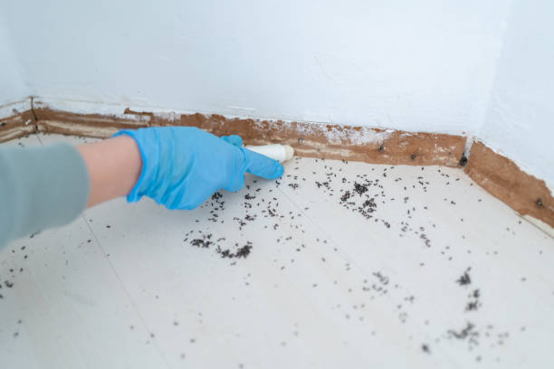 Best Pest Removal Services  in Vinings, GA