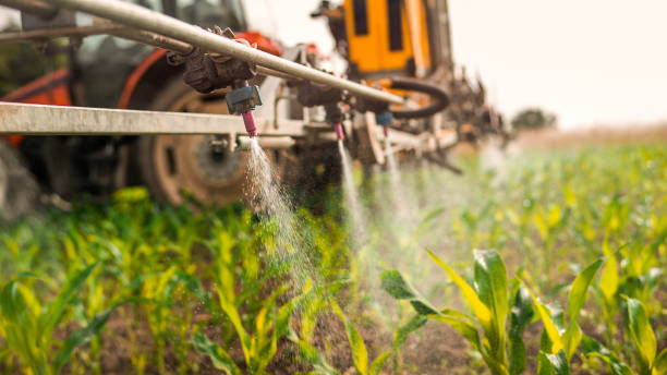 Reliable Vinings, GA Pest Control Solutions